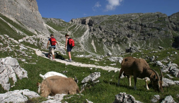 Foto: © TVB Alta Badia Hiking Hotels