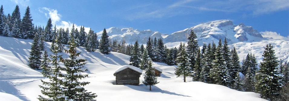Winter Winter
