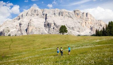 Dolomites Hotel Savoy