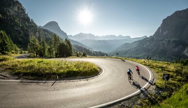 Dolomites Hotel Savoy